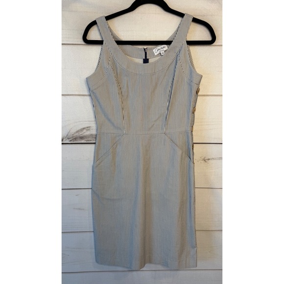 Amy Matto Dresses & Skirts - Amy Matto New York Womens Pinstripe Sleeveless Sheath Dress Blue White Size 2